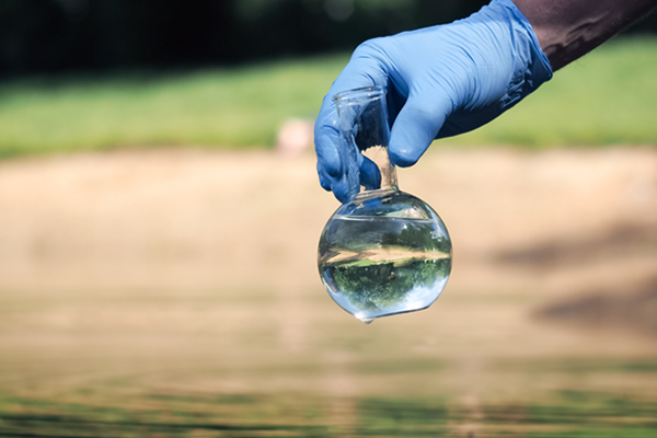 orion immagine x sito