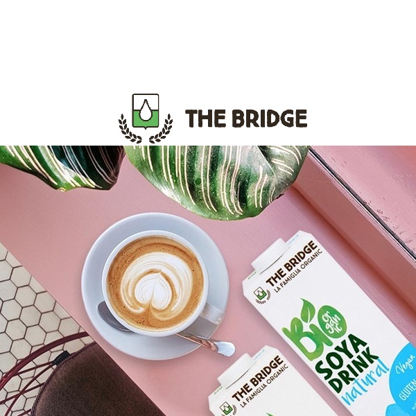 THEBRIDGE logo + immagine